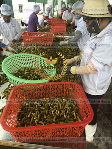 Concombre bébé mariné en conserve du Vietnam très bonne qualité prix bon marché fait Concombre en conserve emballage OEM - Product Image 3