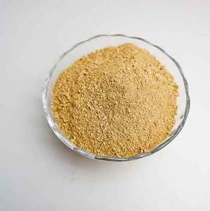 Poudre de Zeste de Citron du Delta du Vietnam 99% Pure, Riche en Vitamine C, Naturelle et Étiquetée, Sachets Hermétiques pour Suppléments et Industrie Alimentaire - Product Image 3