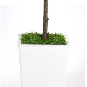 5FT albero di ulivo artificiale con vaso e muschio per la casa o ufficio arredamento durevole ed elegante piante artificiali - Product Image 6