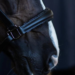 ZUMA ENTERPRISES - Cabestro para Caballo de Cuero Genuino Marrón, Ajustable, Acolchado, con Herrajes de Latón Sólido, Accesorios para Montar y Entrenar - Product Image 4