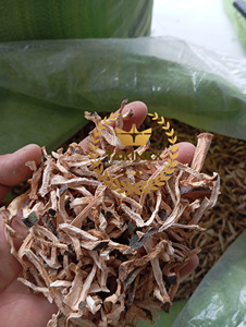 100% piezas de Guanábana secas naturales carne para hacer té guanábana carne té muy limpio y precio barato en Vietnam - Product Image 3