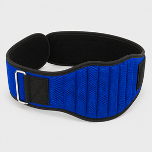 Wholesale Weightlifting Neoprene <b>Back</b> <b>Support</b> Belt Custom Quick Self Locking Steel Buckle Workout Belt Gym wrist straps - Product Image 1