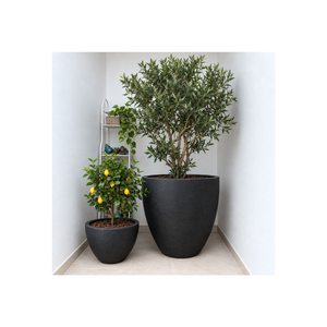Modern Fiberglass Planter <b>Pot</b> Lightweight Round Flower <b>Pot</b> Outdoor Garden Decorative Container Available In Multiple Sizes - Product Image 1