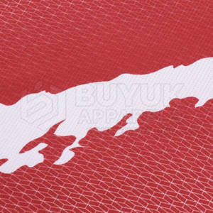 Uniforme de Fútbol de Calidad Profesional, 100% Poliéster Transpirable, Ropa Deportiva, Exportación al por Mayor, Servicio OEM, Fabricante - Product Image 5