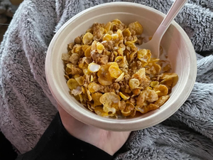 Bols en plastique jetables 16 oz, grands, 100 % compostables, biodégradables, écologiques, couleur naturelle, design moderne, pratiques pour les fêtes - Product Image 4