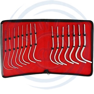 Venta al por mayor 15-Piece Guyon Dilator Kit Medical Genecology Grade Acero Quirúrgico Personalizable Veterinario Instrumento DADDY D PRO CE - Product Image 4