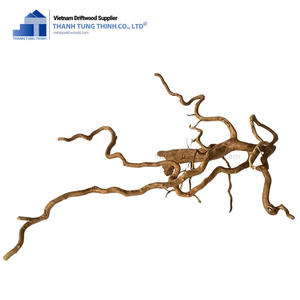 Meilleure Vente Décoration Naturelle en Bois Flotté Maison en Bois de Haute Qualité Énorme Bois Flotté pour Aquariums Vente en Gros Direct Fabricant Vietnamien - Product Image 1