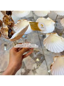 Ensemble de verres à vin en coquillages faits à la main, décoration de plage côtière, verres à cocktail en coquillages, décoration de mariage sur la plage, cadeau pour demoiselle d'honneur - Product Image 3