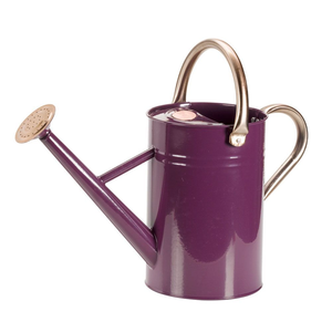 Arrosoir en métal de qualité industrielle pour serre, pot à eau en acier durable avec poignée renforcée, équipement de soin des plantes d'extérieur - Product Image 6