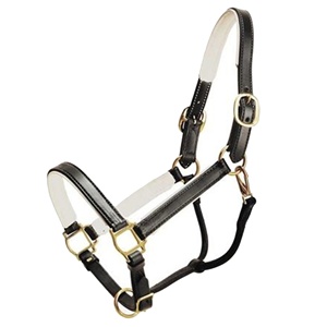 Cabestro de Cuero Inglés de Calidad Suave para Carreras de Caballos Horsekraft, Costuras Elegantes, Hebillas de Latón Macizo, Acolchado Suave, Duradero y Personalizable - Product Image 2