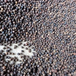 Pimienta Negra de Vietnam, Nueva Cosecha 2026, Cruda, Seca, Calidad Premium, Mejor Precio, Lista para Entrega - Product Image 1