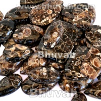 Cabochon d'agate Turritella naturelle, coquillages d'escargot fossiles en pierre précieuse brune et noire polie, forme libre pour la fabrication de bijoux