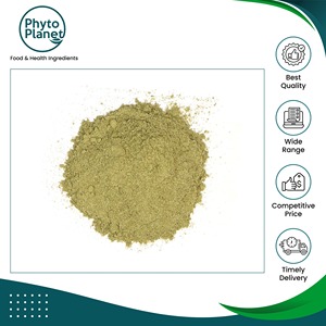 Extracto de Cola de Caballo Puro y Natural Hecho en Brasil, en Polvo, de Calidad Premium, Suministro al por Mayor - Product Image 2