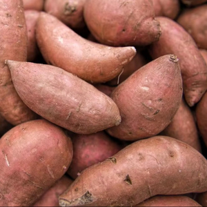 Patate douce / igname violette - Vente en gros de patates douces fraîches / surgelées / en amidon de haute qualité, certifiées Global Gap - Product Image 1