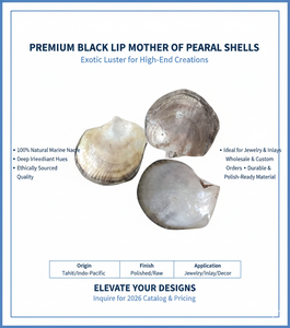 เปลือกหอยมุกดำธรรมชาติจากตาฮิติ ชนิด Pinctada Margaritifera ขัดเงาสีรุ้ง สำหรับงานฝังประดับ - Product Image 6