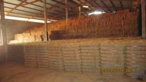 Fibres de coco de qualité supérieure en provenance du Vietnam |   Fibre brute durable pour matelas, jardin et usage industriel – Fibre de coco écologique - Product Image 6