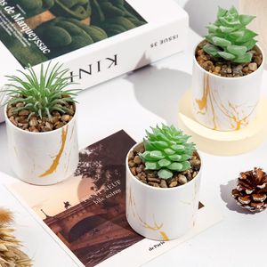 Set di 4 Piante Succulente Artificiali Verdi per Decorazione Casa e Accessori da Scrivania per Donne - Product Image 5