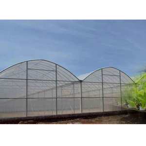 Invernadero Pequeño de Bajo Costo para Agricultura, Solución Moderna para la Producción de Cultivos de Alta Calidad - Product Image 3