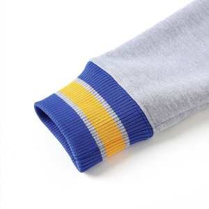 เสื้อสเวตเชิ้ต Sigma Gamma Rho Chenille ลายตัวอักษรกรีก สำหรับฤดูหนาว แบบยูนิเซ็กซ์ ผลิตจากโพลีเอสเตอร์/คอตตอน สีเทา น้ำเงิน เหลือง ลายทาง มีกระเป๋า คอกลม สำหรับชมรมนักศึกษา - Product Image 4