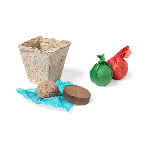 Kit personnalisable avec des graines et étui en bois écologique - Product Image 4