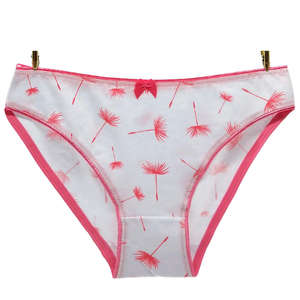 Ropa Interior Sexy para Mujer, Transparente, Tallas Grandes, Alta Calidad, Colorida, Personalizada para Chicas Jóvenes - Product Image 6