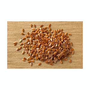 Graines de lin en vrac fournies en grande quantité pour les cuisines commerciales et les marchés alimentaires - Product Image 5