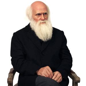 Solución de una parada, escultura de estatua de cera de <span class=keywords><strong>Darwin</strong></span> de científico de tamaño humano realista personalizada privada para decoración interior - Product Image 2