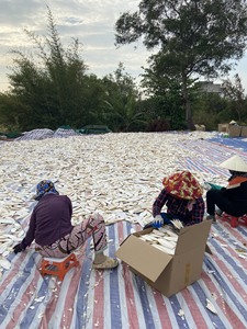 ผลิตภัณฑ์ยอดนิยมกระดูกปลาหมึกเนื้อปลาหมึกคุณภาพสูงสำหรับนก // MS .lima - Product Image 6