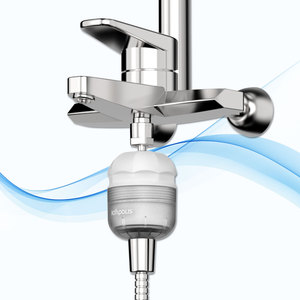 Ducha de Lluvia Ionpolis ChungSu SkinCare con Filtro con Infusión de Vitaminas - Product Image 1