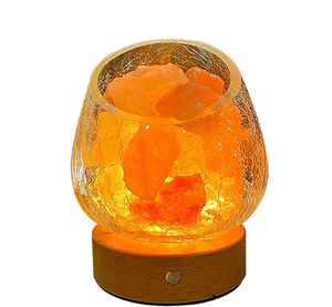Lámpara de Sal del Himalaya con Forma de Animal Personalizada, Marco Metálico, Lámpara de Noche de Sal Natural, Alimentación USB, LED Regulable, Ra80, Control por Botones - Product Image 1