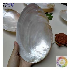 Plato Decorativo con Conchas Marinas para Regalos Navideños, Celebraciones de Año Nuevo y Colecciones Boutique de Temporada para Regalos Costeros - Product Image 1