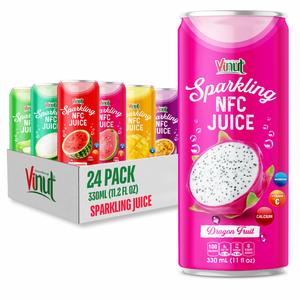 Échantillon gratuit OEM 330ml Jus pétillant Red Dragon - Meilleures boissons pétillantes en gros au Vietnam - Product Image 1