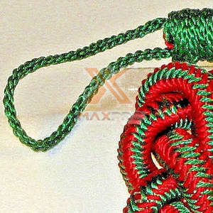 Aiguillette อีกัวน่าคุณภาพสูงมาใหม่ - Product Image 4