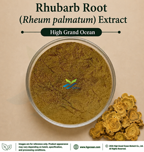 Extrait de rhubarbe (Rheum palmatum) de qualité alimentaire (approvisionnement direct usine HGO) 4:1 5:1 10:1 20:1 100:1 200:1 (Ratio d'extrait) - Product Image 1