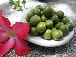 Dragées de vietnamiens chocolatiers légendaires de qualité supérieure, les plus vendues, aux amandes enrobées de chocolat, idéales pour les cadeaux et la vente au détail - Product Image 5