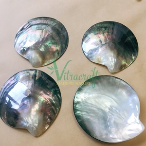 Plateau noir/nacre, plat à caviar, assiette à coquille noire avec cuillère à caviar en forme de poisson A02 cadeau significatif sûr à utiliser - Product Image 1