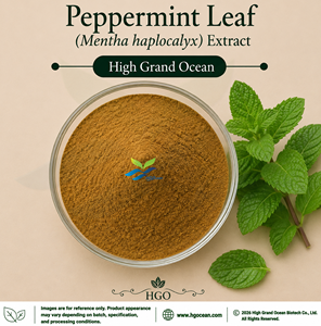 โรงงาน HGO จัดจำหน่ายโดยตรง สารสกัดจากใบสะระแหน่ (Mentha haplocalyx) เกรดอาหาร อัตราส่วน 4:1 5:1 10:1 20:1 100:1 200:1 - Product Image 1