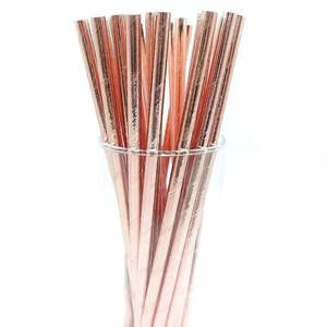 Ensemble de pailles réutilisables en acier inoxydable de qualité supérieure, accessoires écologiques pour boire avec brosse de nettoyage - Product Image 5