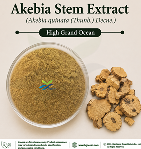 โรงงาน HGO จัดจำหน่ายโดยตรง สารสกัดจากก้านอคาเบีย (Akebia quinata) เกรดอาหาร อัตราส่วนสารสกัด 4:1 5:1 10:1 20:1 100:1 200:1 - Product Image 1