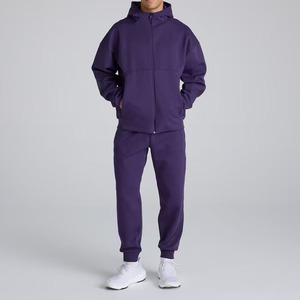 Conjunto de Sudadera con Capucha Morada para Hombre, Corte Regular, Felpa, Color Sólido, Ropa Casual de Otoño - Product Image 2
