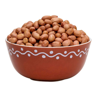 Kacang Tanah India Ukuran Besar 40/50 Kualitas Ekspor Maks 7-9% Kadar Air Ukuran Dapat Disesuaikan (5kg-50kg) Kantong PP/Jute Internasional
