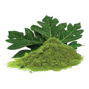 บรรจุภัณฑ์แบบกลองผงสารสกัดจากมะละกอดิบธรรมชาติเกรดอาหาร - Product Image 4