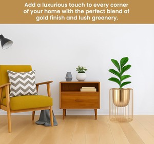 Macetero Moderno de Metal Dorado con Soporte de Jaula de Alambre Cilíndrico, Decorativo para Interiores y Exteriores - Product Image 5