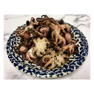 Pulpo bebé fresco congelado entero disponible para comercio global con embalaje seguro - Product Image 5