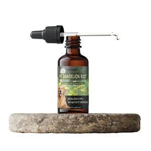 Suministro de fábrica Extracto de raíz de diente de león natural OEM Gotas de raíz de diente de león para mascotas Gatos Perros - Product Image 4
