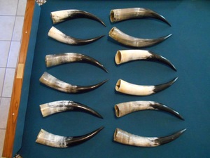 Par de Cuernos de Búfalo Pulidos para Decoración de Pared, Diseño Art Deco, Grandes de 27 a 35 Pulgadas, para Bodas, Cumpleaños, Aniversarios - Product Image 2