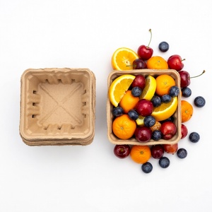 Fruit Packaging Eco-Friendly Anti Break Compostable Molded <b>Pulp</b> Tray Fresh Fruit Tray From Vietnam Manufacturer Paper Boxes - Product Image 4