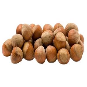 Nueces de Avellana Crudas Orgánicas de Primera Calidad, Nueces Secas de Origen Vietnamita, Bocadillos con 24 Meses de Caducidad, en Oferta - Product Image 1