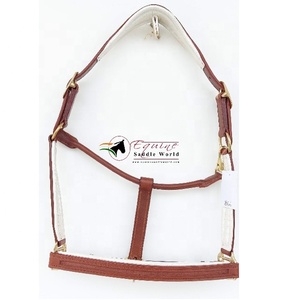 High Quality Horse Tack Chestnut Horse Halter with Empty Channel and White Leather Padding on crown Nose Cheek Piece - Product Image 1