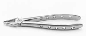 Forceps d'extraction dentaire à surface mate avec becs dentelés en acier inoxydable chirurgical – Instrument d'extraction dentaire - Product Image 3